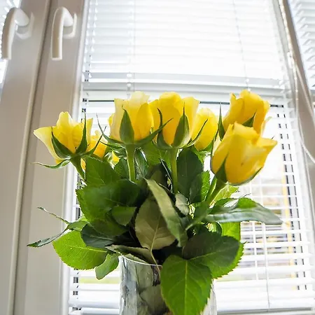 בית הארחה Jana