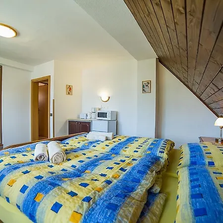 בית הארחה Jana 3*